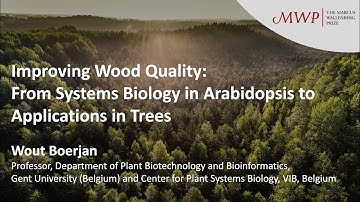 MWP Symposium 2024 – Professor Wout Boerjan