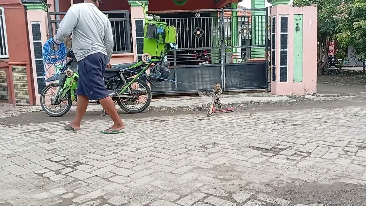 Menyaksikan topeng monyet di depan rumah