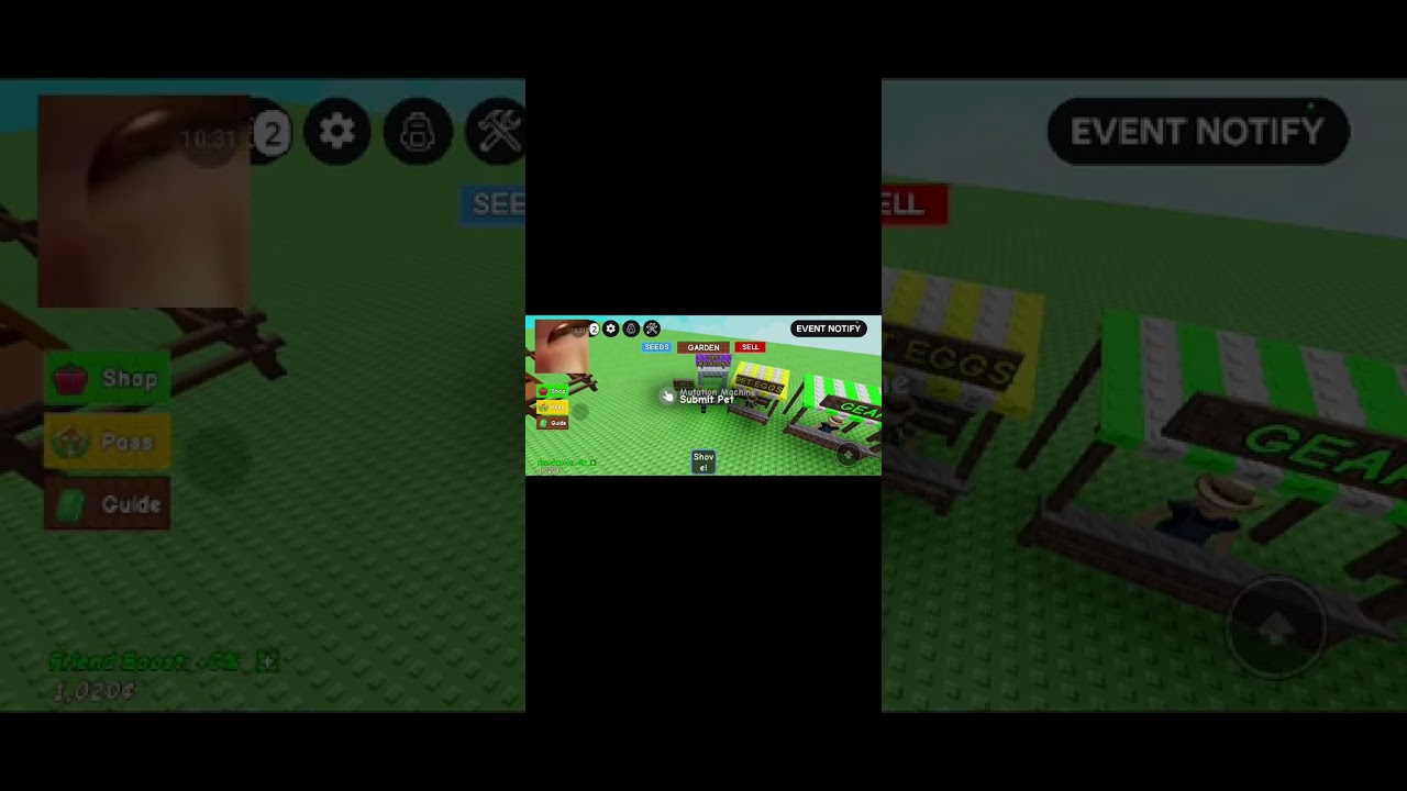 Not Enough Money Growing Garden.