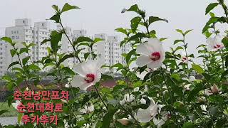 풍덕공원 영상