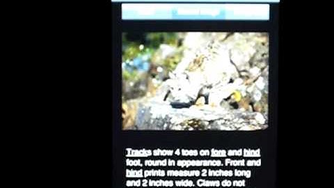 iPhone Animal Track  App Demo