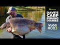 100lb carp daves carp fishing diaries 003