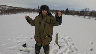 картинка: ЖЕРЛИЦЫ В НОЧЬ / 95 ПРОЦЕНТОВ СРАБОТОК / КУМЖА И НАЛИМ  / ice fishing