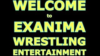 Advanced Pugilism moves in Exanima (WARNING: loud noizes)