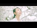 101回目の桜 / RINGOMUSUME(りんご娘)