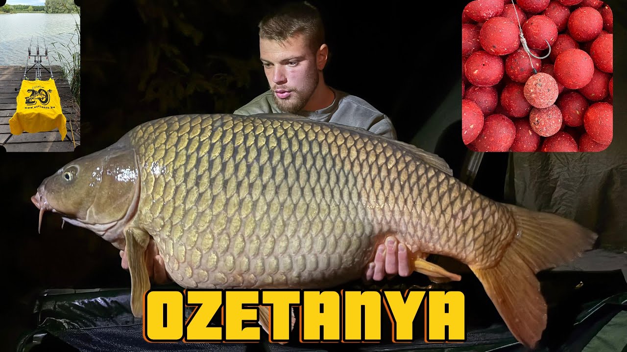 Strategie, rabdare, adaptare - Pescuit la crapi mari la Szekely Ozetanya in Ungaria