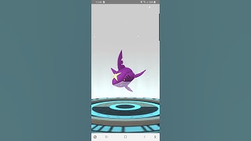 Evolving shiny Carvanha into shiny Sharpedo in #pokemongo