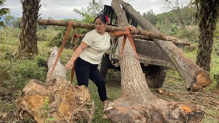 Download Lagu ￼ Agricultural vehicle transporting wood; girl helping villagers take students to school. MP3