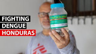 Honduras | Fighting dengue fever with... mosquitos?