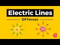 Visualizing Electric Fields Through Lines of Force