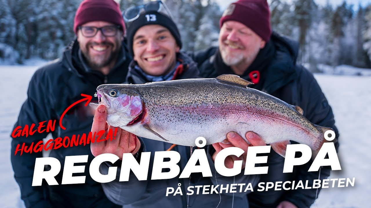 Regnbågsrally på isen! Huggbonanza på specialbyggda beten