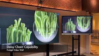 ProLight Video Wall