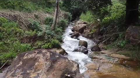 Đất ngộp view thác - đất suối đá huyện bão lâm - lâm đông -4 mặt đường trên đất