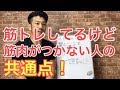 筋トレしいているけど筋肉がつかない人必見！こうすれば筋肉は発達する