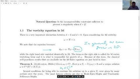 Singularity formation in the Euler equation (1/3)