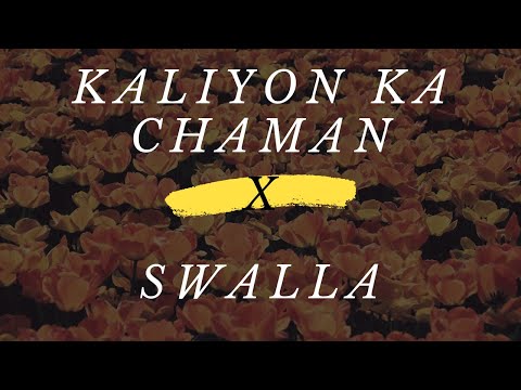 Kaliyon Ka Chaman X Swalla | Dance Mix | Dhruv Kumar