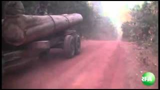 file1.flv