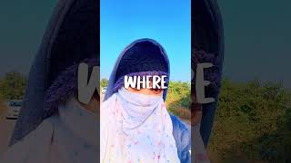 With that the 2025 season comes to an end #2025 #2026 #shorts #ytshorts #thescriptedtrail #trending