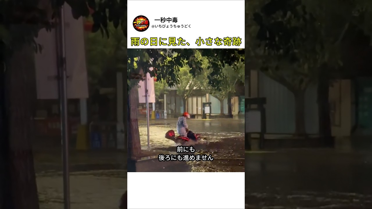 雨の日に見た、小さな奇跡