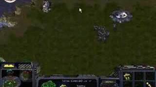 [FPVOD] UMS Multitask & Hotkey Trainer TvZ