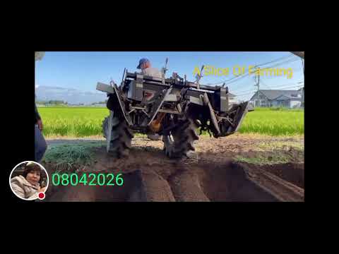 Live Highlight 08042026