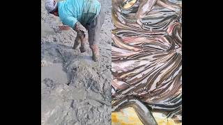 Unique Youtubeshorts Tempting Fishhook