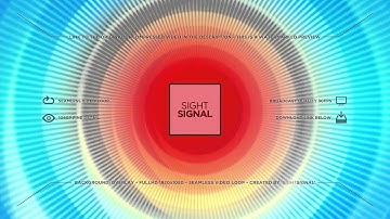 sightsignal - Digital Eye Loop 3
