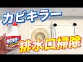 【完璧消臭】カビキラーでお風呂の排水口掃除を除菌消臭を行う方法！