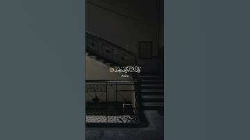 أفلا ينظرون إلى الإبل كيف خلقت بصوت هادئة القارئ الشيخ خالد الجليل
