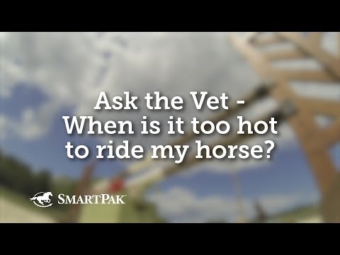 Ask the Vet - When is it too hot to ride my horse?