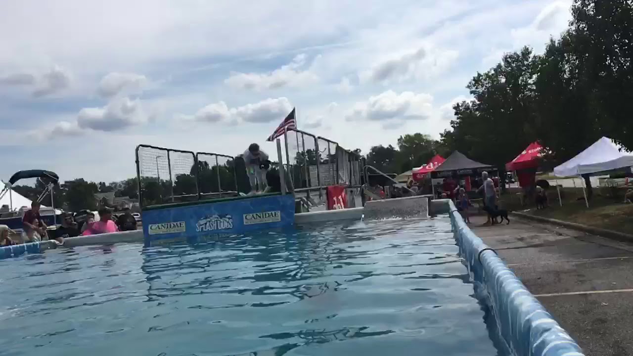 Dock diving (Splash Dogs) YouTube