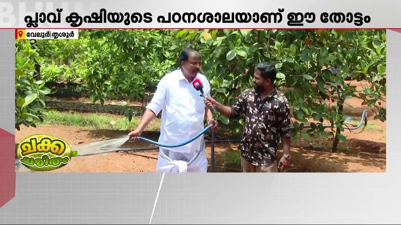 സർക്കാർ ജോലി വേണ്ടെന്ന് വെച്ച് പ്ലാവ് കൃഷി! വർ​ഗീസ് തരകന്റെ തോട്ടം വെറൈറ്റിയാണ് | Jackfruit