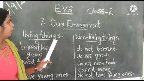 EVS Std 2 Ch 7 Our Environment Part 2