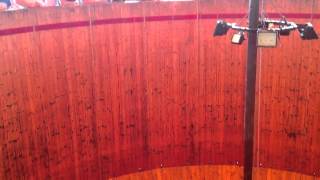 Steile Wandhennie Kroezemoet Je Echt   Ziengeweldig