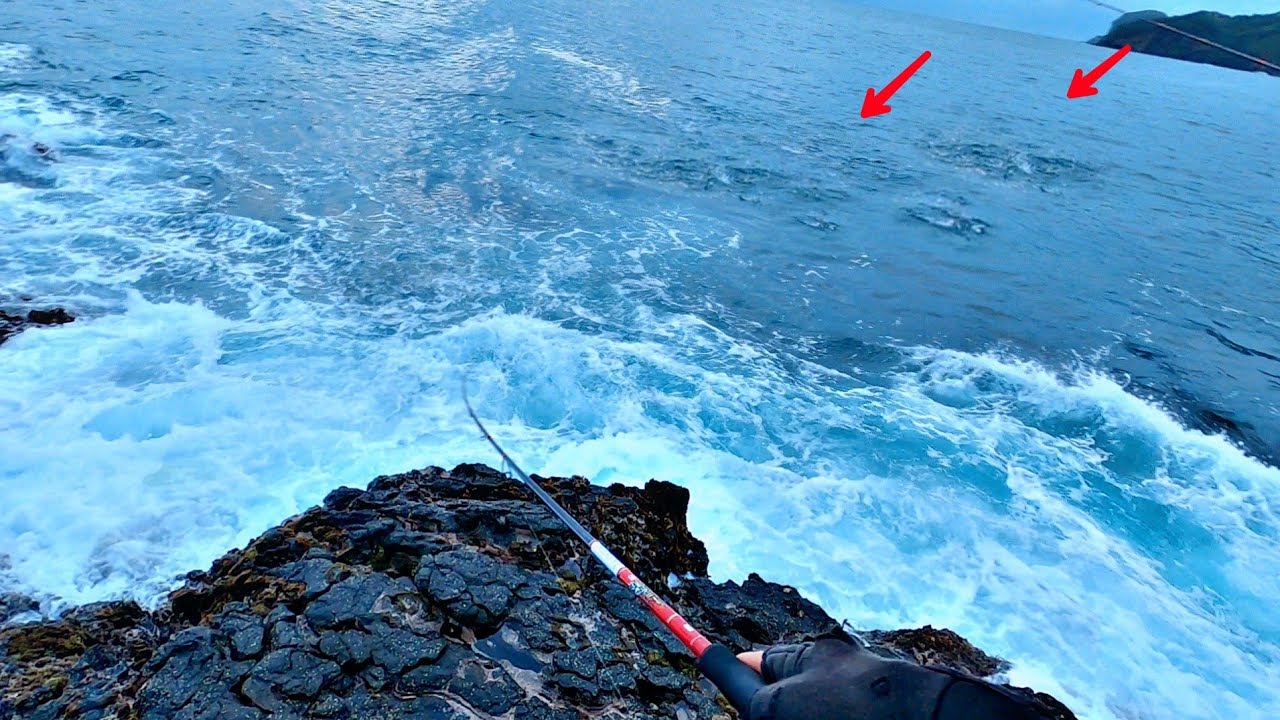 beruntung sekali Mancing casting di pantai bertemu gerombolan ikan