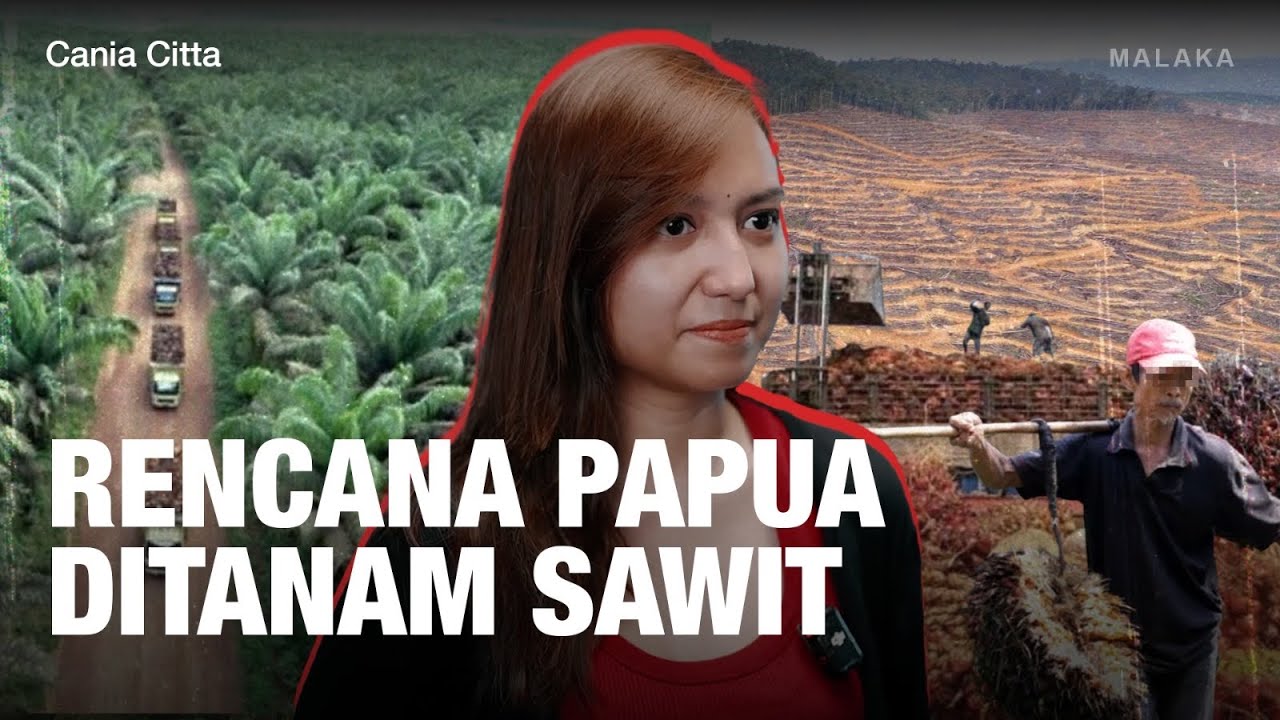 Hulu ke Hilir Masalah Sawit