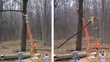 Idiots With Chainsaws: Tree Cutting Fails | Extreme Dangerous Logging Truck Fails #6