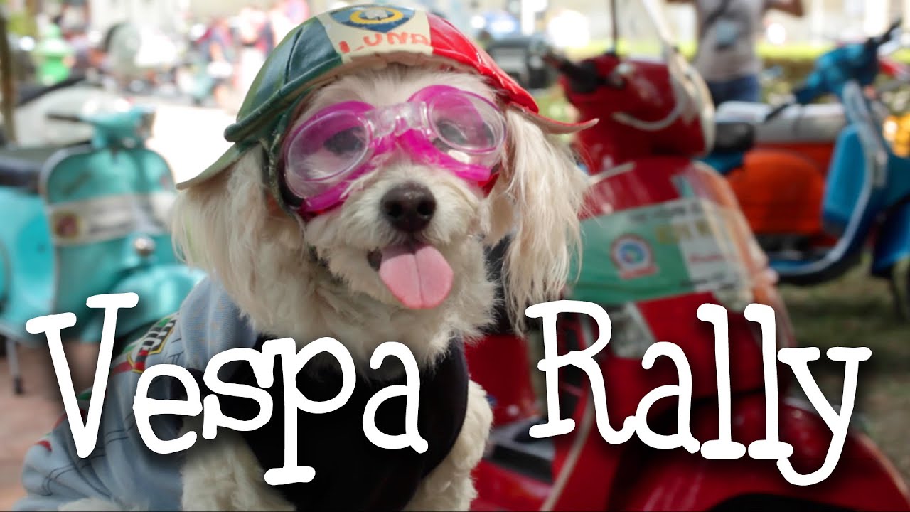 Vespa Rally — MotoGeo Adventures