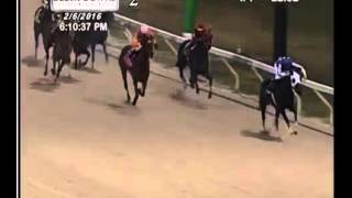 Charles Town Races Slots USA