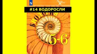 Биология | параграф #14 Водоросли