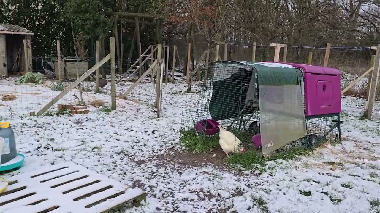 Il neige dans le Loiret ❄️❄️❄️☃️☃️🌨️