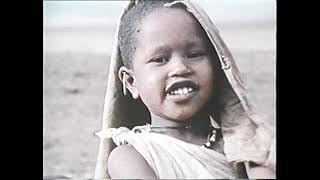National Geographic: Man of the Serengeti (1972)