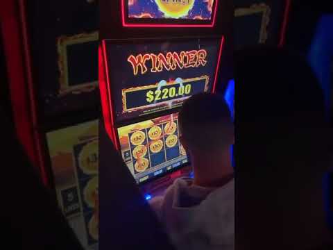 Experience the Thrill of The Pokies: Play 85+ Casino Games in English for Australian Players