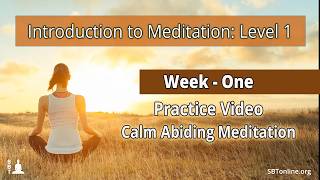 Level 1 - Week 1 - Practice Video