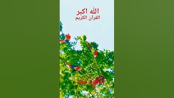 #القران_الكريم #تلاوه_خاشعه #قال رب انیی ظلمت نفسی #المصحف #الشيخ محمود الشحات #duet #foryou #