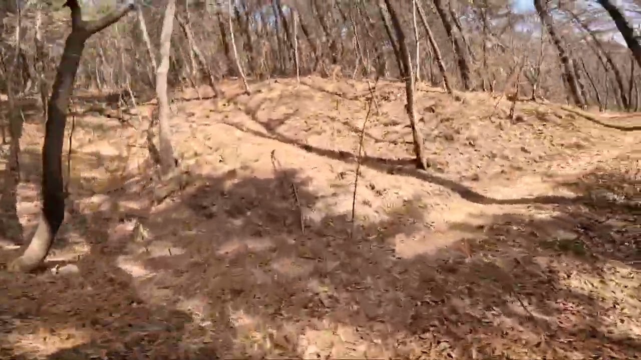 섣달그믐 [학망]