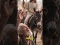 RAMOS #domingoderamos#hosanaaofilhodedavi