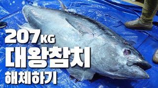 마스터의 참치 해체법 | 207kg 대형 참치 오마카세