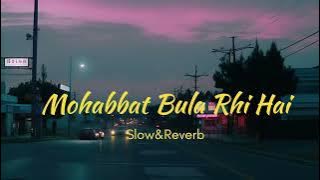 Mohabbat Bula Rahi Hai/Slow & Reverb/Lofi Song #lofi #love #slowedandreverb #viral #viralvideo