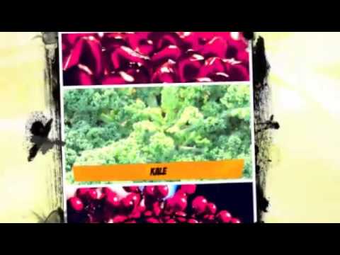 pre-diabetic-diet-|-diabetic-diet-plan-|-best-|-gestational-diabetes-diet-|-easy-|-diabetic-meal